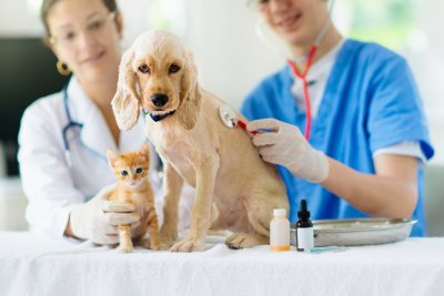 Veterinární péče